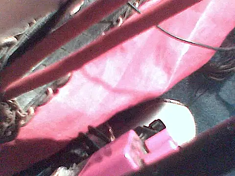 JJBATS webcam