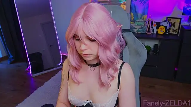 zelda_1 webcam