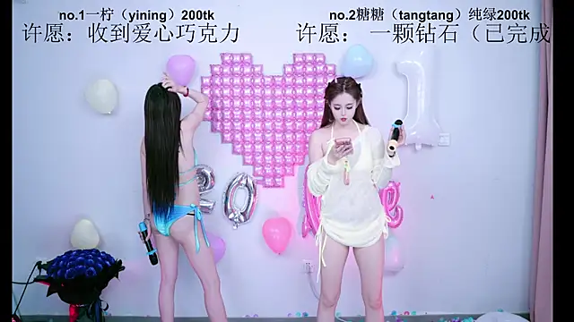 CCTW-100 webcam