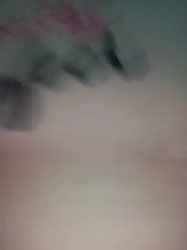 Hansikatelugu webcam