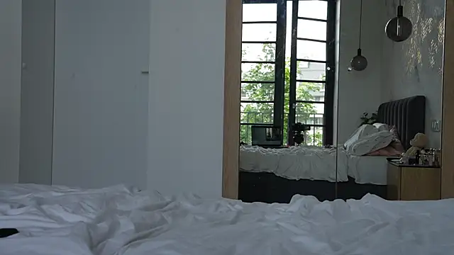 ibiddi webcam
