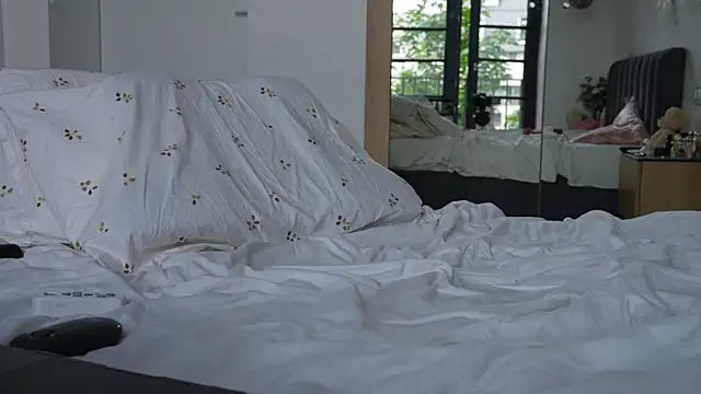 ibiddi webcam
