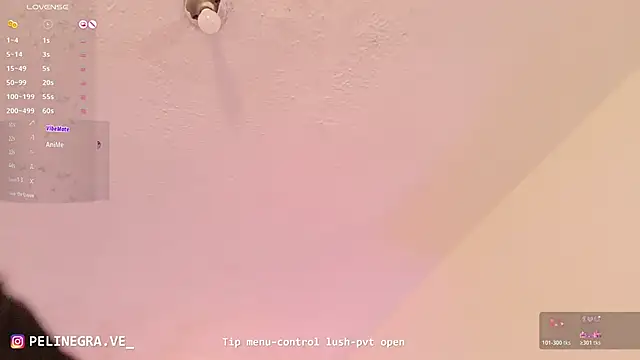 rubicarter webcam