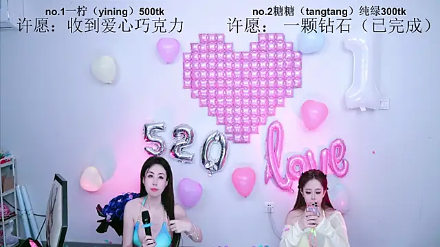 CCTW-100 webcam