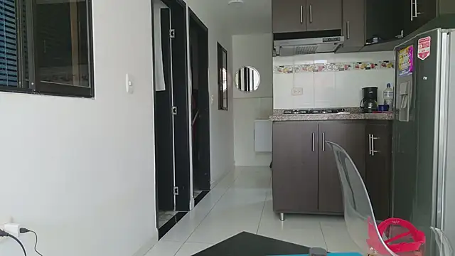 grey___27 webcam