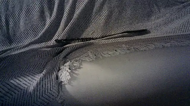 pedro_power webcam