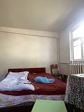 Frosl webcam