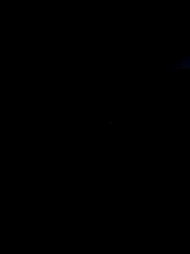 Chiennemale68@xh webcam