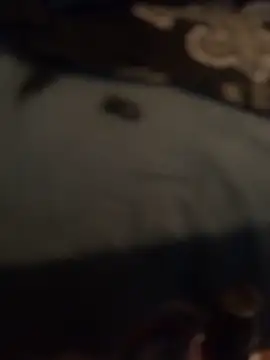 Ldnick69 webcam