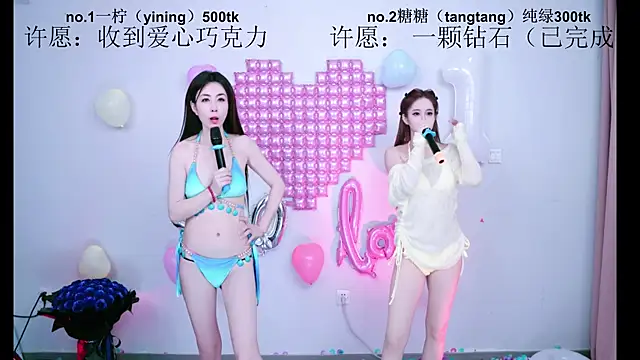 CCTW-100 webcam