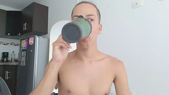 grey___27 webcam