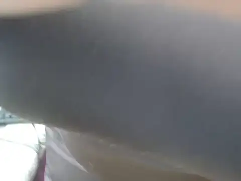 Babykay238 webcam