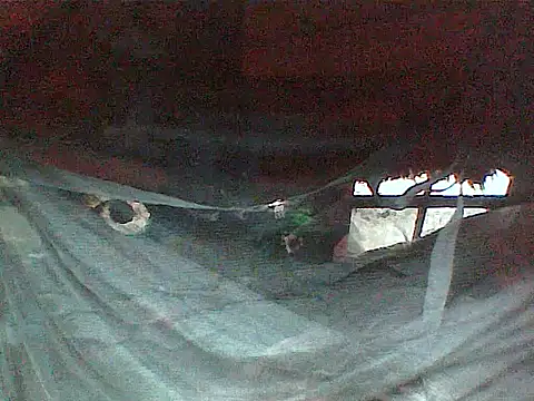 JJBATS webcam