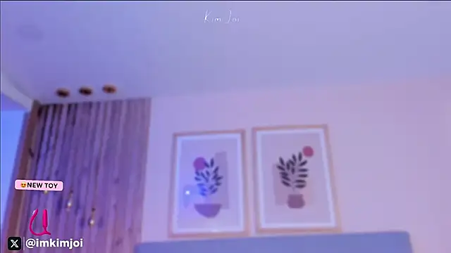 KiimJoi webcam