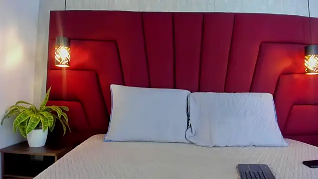 Philip_collins webcam