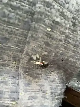 gougou13 live sex cam