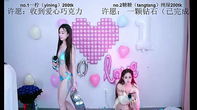 CCTW-100 webcam