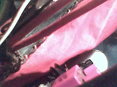 JJBATS webcam