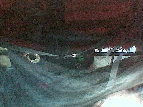 JJBATS webcam