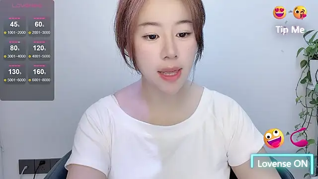 Baixi-01 webcam