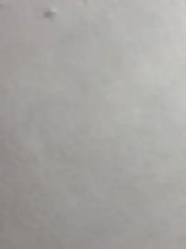 CelesteBlack_Pink webcam