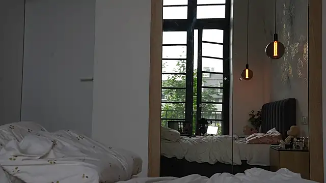 ibiddi webcam