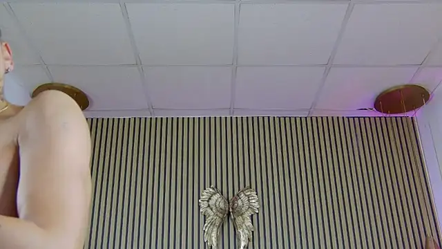 PlayfulShow webcam