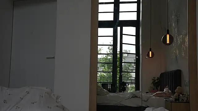 ibiddi webcam