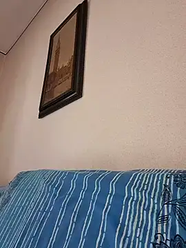 Sony28v webcam