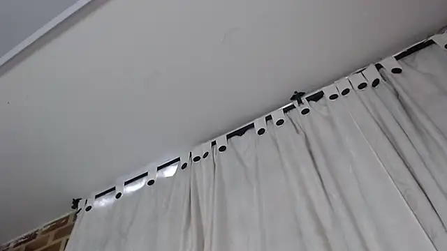 ayame-fox webcam