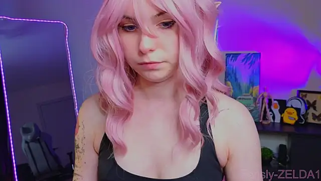zelda_1 webcam