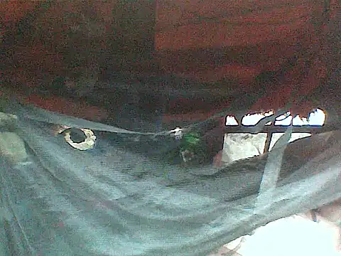 JJBATS webcam