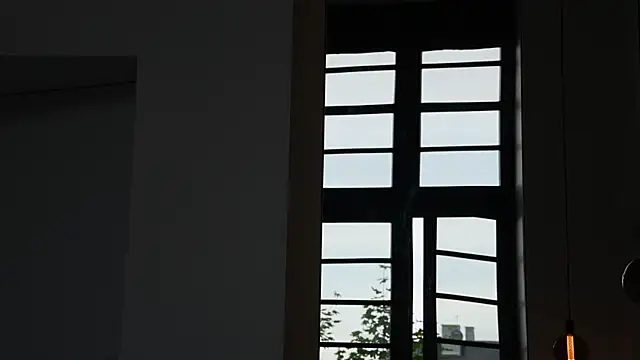 ibiddi webcam