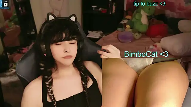 BimboCat webcam