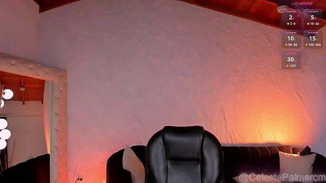 CelestePalmer_ webcam