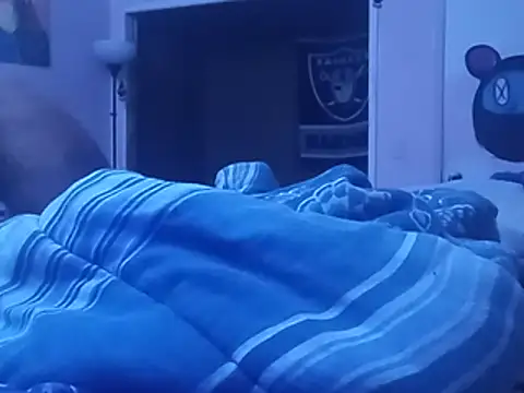 Blkstylion webcam