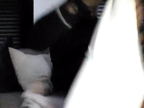 perlados webcam