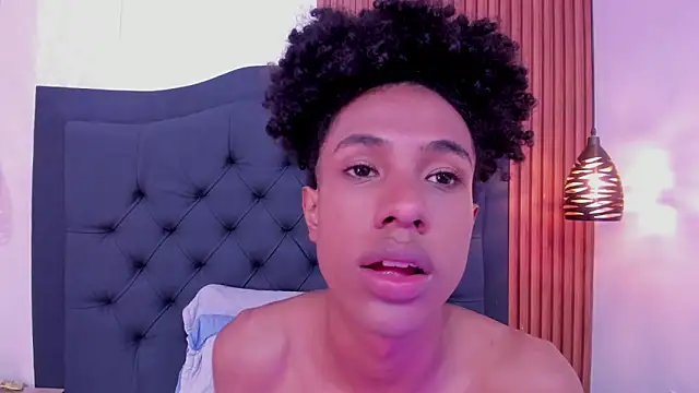Johan_gz_ webcam