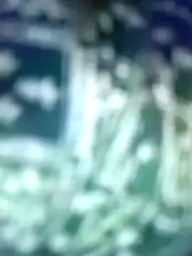 Rajni248096 webcam