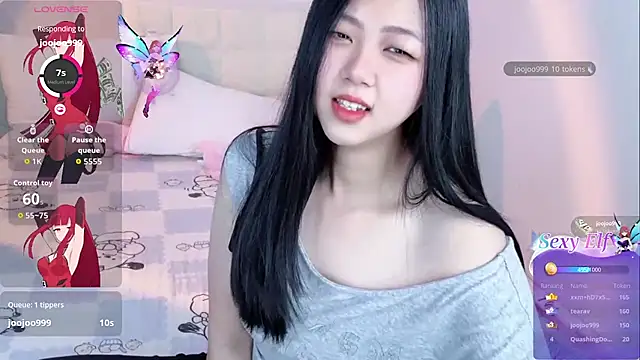 Noelle-2007 webcam