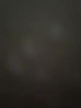 GildanK18 webcam