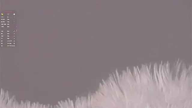 AngelicRice webcam