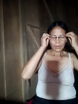 toyo_668 webcam