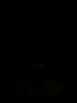 Chiennemale68@xh webcam