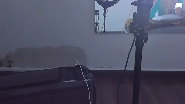 _Cherry_fox webcam