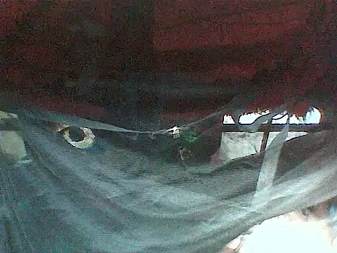 JJBATS webcam