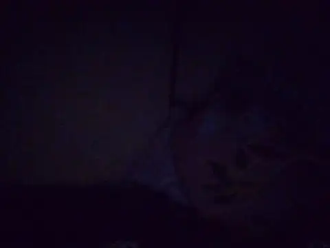 fatpusy002 webcam