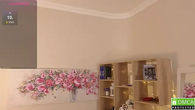 Sue_Sanders webcam