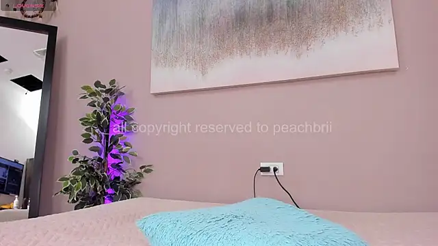 PechBri webcam