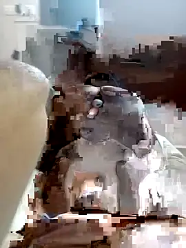PleasantPassenger9 webcam